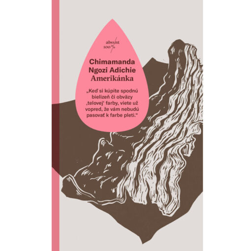 Amerikánka - Chimamanda Ngozi Adichie / kniha