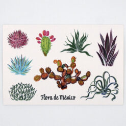 Flora - Mexico / pohľadnica