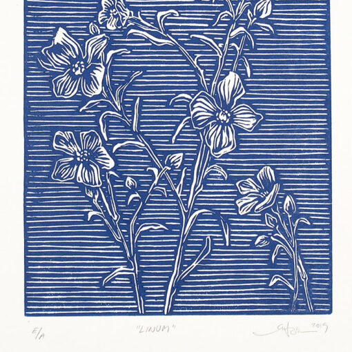 Linum tmavo modrý #1 - Martina Rötlingová linorytová grafika 21 x 30cm