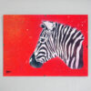 Zebra - obraz v plexi rámiku 21 x 30 cm