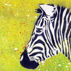 Zebra - obraz v plexi rámiku 21 x 30 cm