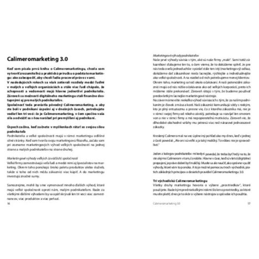 Calimeromarketing 3.0 v skratke - Karen Romme / kniha