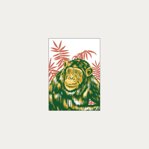 Šimpanz učenlivý - plagátik / obrázok A4