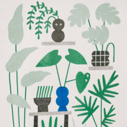 Grafika Izbové rastliny 44 x 31 cm
