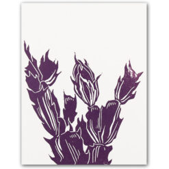 Cactus, malá - Martina Rötlingová / pohľadnica