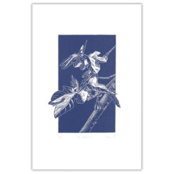Fig branch III., modrá - Martina Rötlingová / linorytová grafika 36 x 25 cm