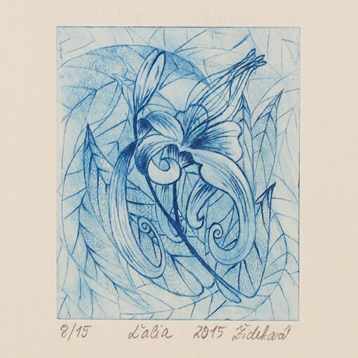 Ľalia, modrá - Marianna Žideková / hĺbkotlačová grafika 28 x 18 cm