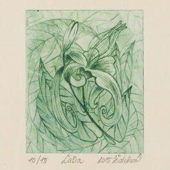 Ľalia, zelená - Marianna Žideková / hĺbkotlačová grafika 28 x 18 cm