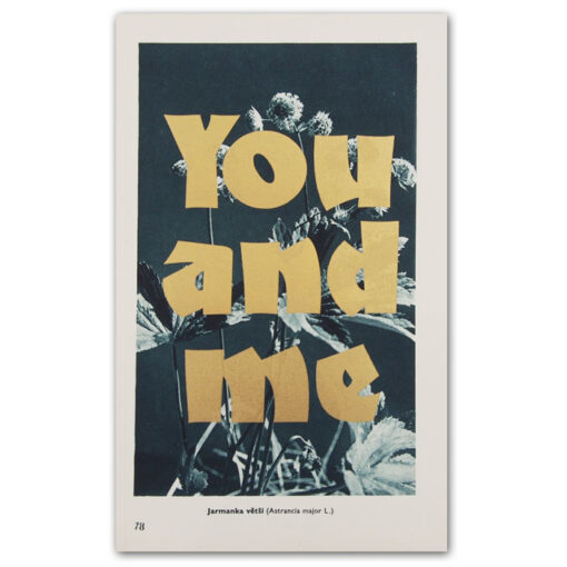 You and me - Pressink, Jarmanka větší / letterpressová grafika