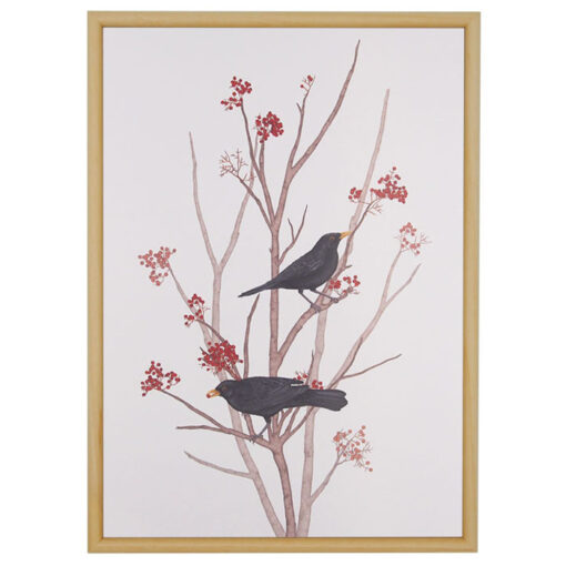 Blackbird on rowan twig 2 - Jana Michalovičová / grafika