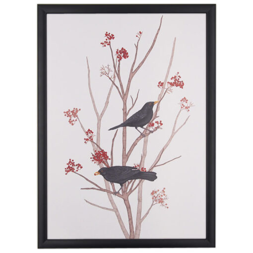 Blackbird on rowan twig 2 - Jana Michalovičová / grafika