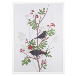 Blackbird on rowan twig - Jana Michalovičová / grafika