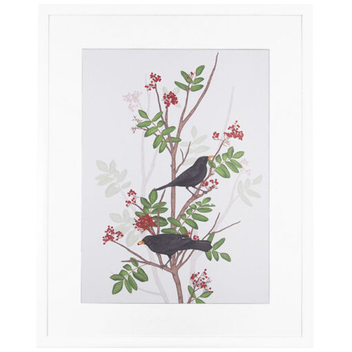 Blackbird on rowan twig - Jana Michalovičová / grafika