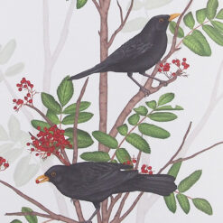 Blackbird on rowan twig 1 - Jana Michalovičová / grafika