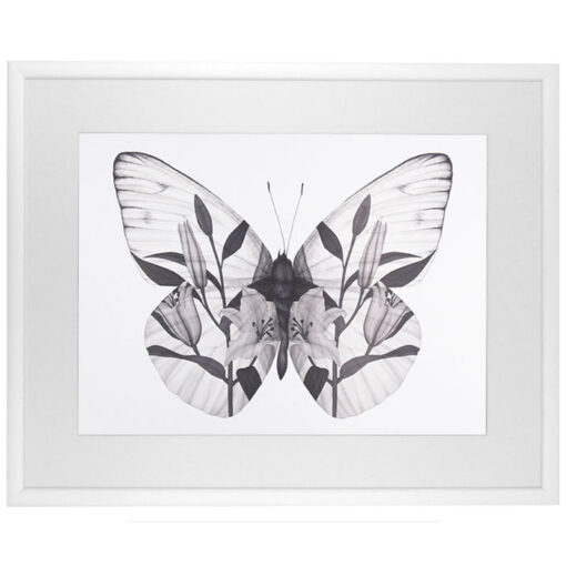 Butterfly - Jana Michalovičová / grafika