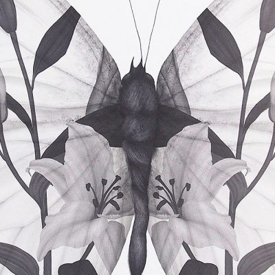 Butterfly - Jana Michalovič / grafika