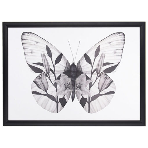 Butterfly - Jana Michalovič / grafika