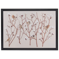 Sparrow on cotton plant - Jana Michalovičová / grafika