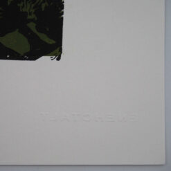Hortenzia - Tlatchene, 50 x 40 cm / linorytová grafika
