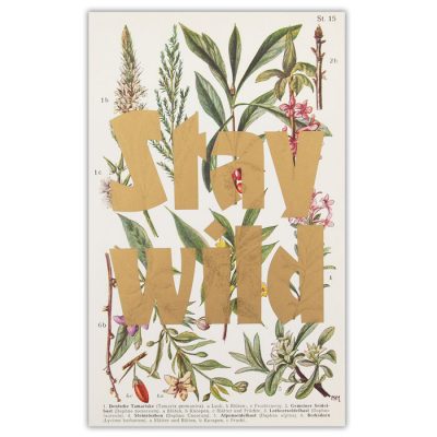 Stay Wild, Tamariske / letterpressová grafika