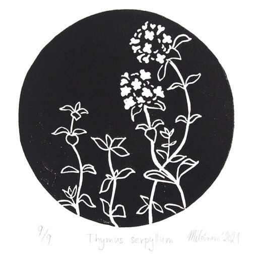 Zuzana Milánová - Thymus serpillum, 18x13 / linoryt grafika
