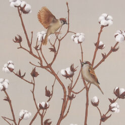 Sparrow on cotton plant 1 - Jana Michalovičová / grafika