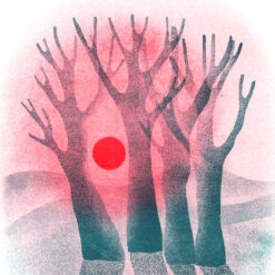 Sunset in the trees - Eva Pola, A4 / risografika