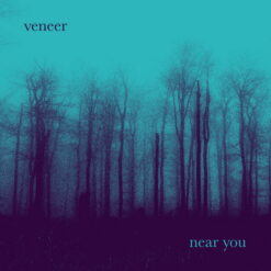 Veneer - Near you / vinyl
