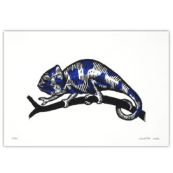 Chameleón, modrý - Tomáš Galajda, 30x21 / linoryt grafik