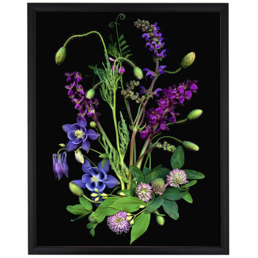 Florals #12 - Pressink, 40x50 cm / giclée grafika