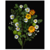 Florals #13 - Pressink, 40x50 cm / giclée grafika