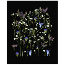 Florals #14 - Pressink, 40x50 cm / giclée grafika