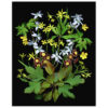 Florals #2 - Pressink, 40x50 cm / giclée grafika