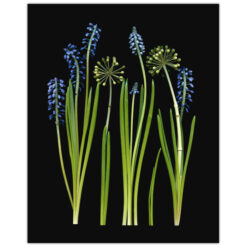 Florals #4 - Pressink, 40x50 cm / giclée grafika