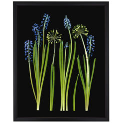 Florals #4 - Pressink, 40x50 cm / giclée grafika