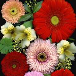 Florals #5 - Pressink, 40x50 cm / giclée grafika