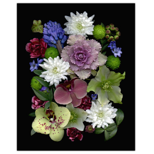 Florals #8 - Pressink, 40x50 cm / giclée grafika