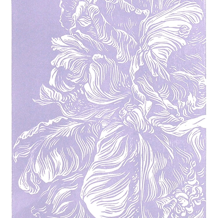Parrot tulips (D) - Martina Rötlingová / linorytová grafika