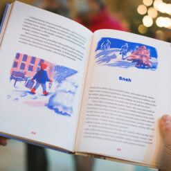 Čakanie na sneh - Peter Gärtner / kniha