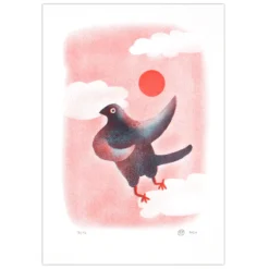 Pigeon in the sunset - Eva Pola, A5 / risografika