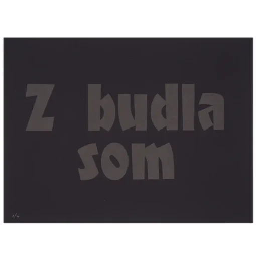 Z budla som - Pressink, 30x40 cm / grafika