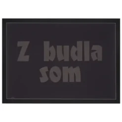 Z budla som - Pressink, 30x40 cm / grafika