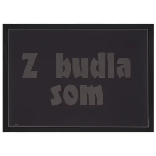 Z budla som - Pressink, 30x40 cm / grafika