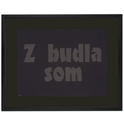 Z budla som - Pressink, 30x40 cm / grafika