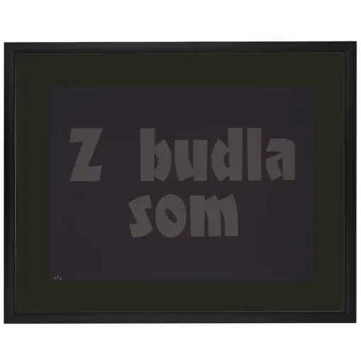 Z budla som - Pressink, 30x40 cm / grafika