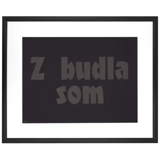 Z budla som - Pressink, 30x40 cm / grafika