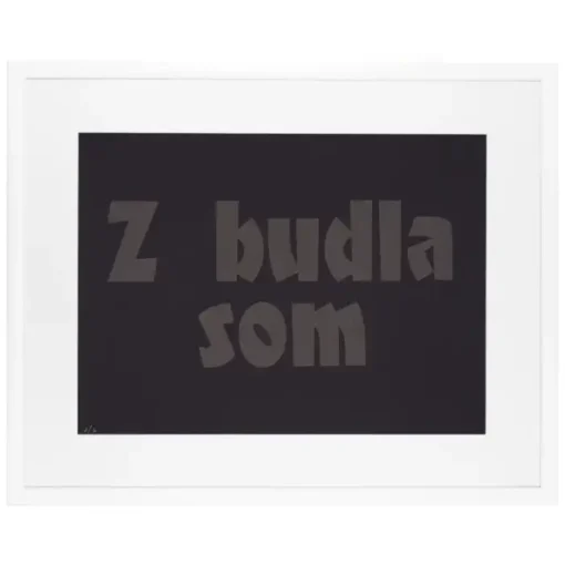 Z budla som - Pressink, 30x40 cm / grafika