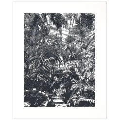 Skleník v botanickej záhrade - Tlatchene, 50 x 40 cm / linorytová grafika